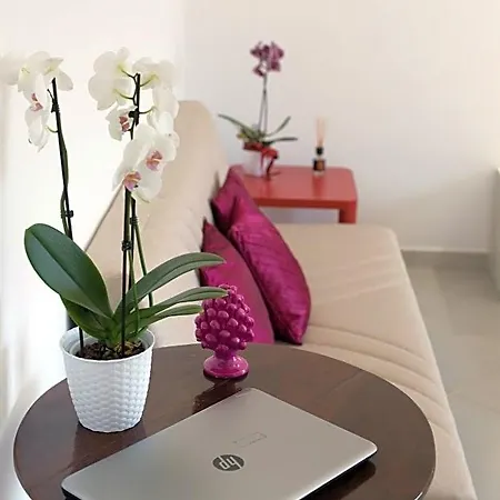 Estate4home - Sofia Flora Πιάνο ντι Σορέντο